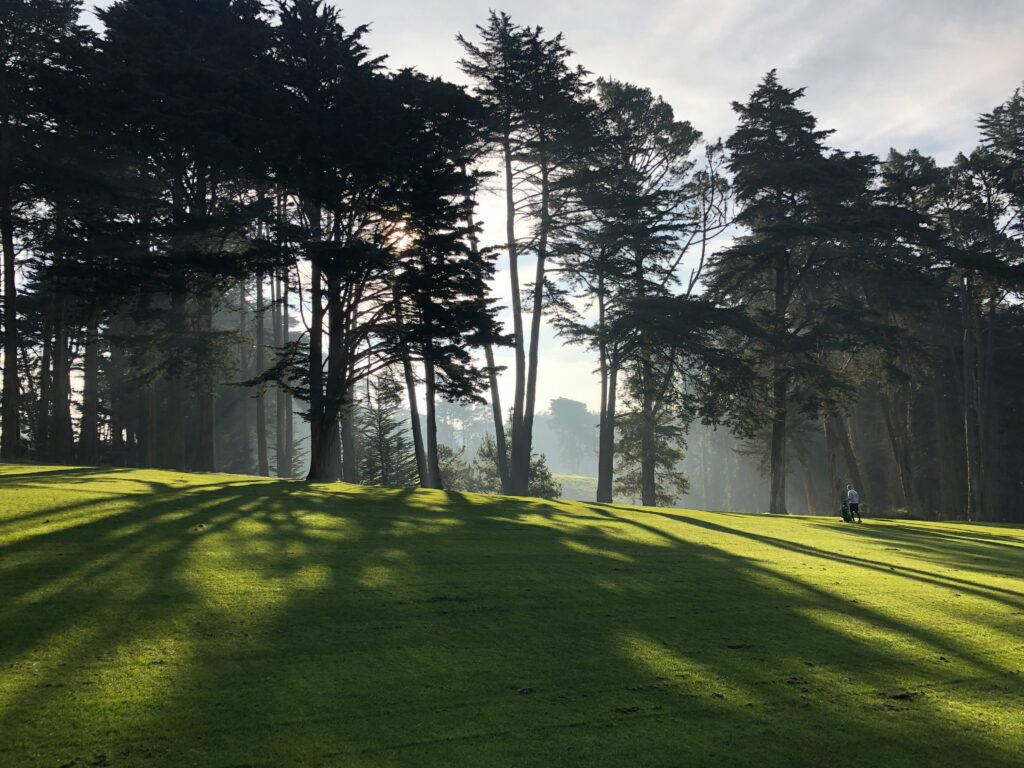 Swing Away: Golf's Secret Role in Weight Loss 1 a man walks across a beautiful green golf course with towering trees as the sunlight filters through the trees